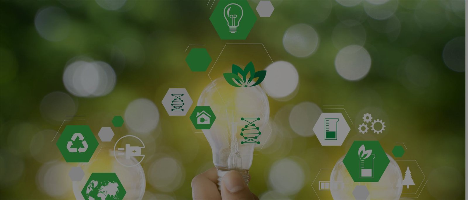 A hand holding a light bulb surrounded by green sustainability icons