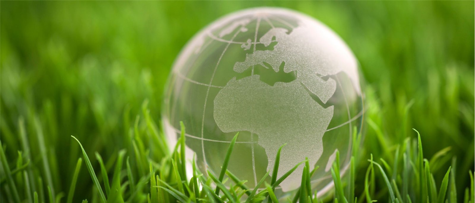 A glass globe showing Africa and Europe resting in fresh green grass